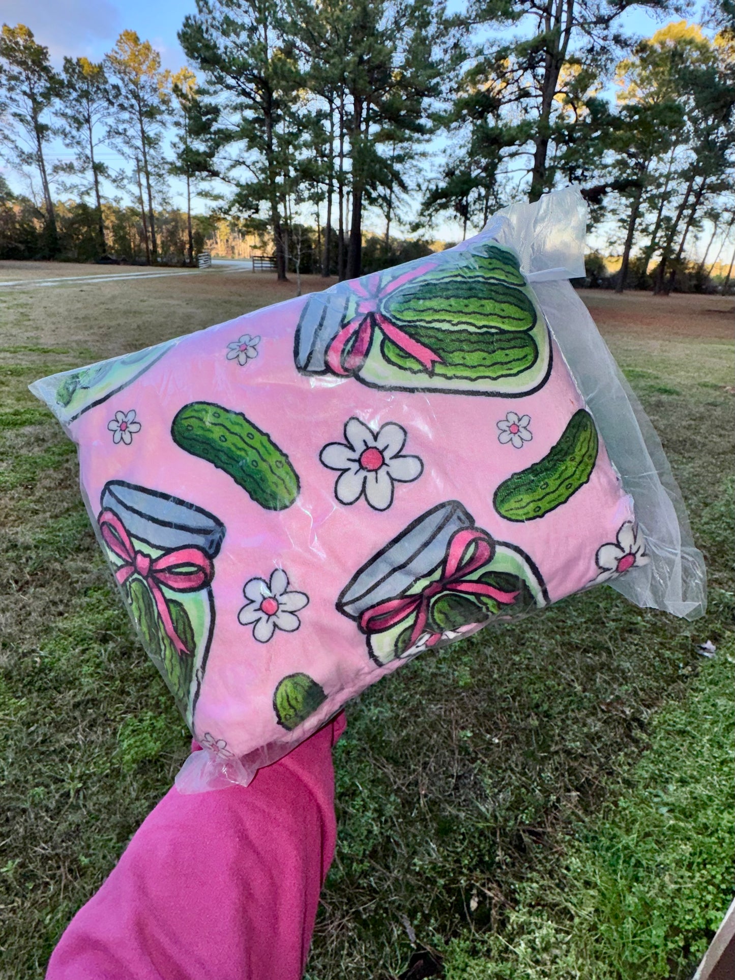 Pickle Blanket